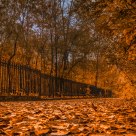 Welcome into the rust corridor!